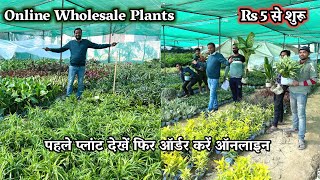 पहले Plant देखें फिर ORDER करें ऑनलाइन Rs 5से शुरू  Online Wholesale Plants At Aditi Nursery [upl. by Blount]