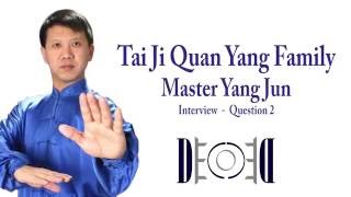 MADDECODE  Tai Ji Quan  Master Yang Jun  What Fang Song means [upl. by Juster]