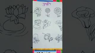 Sanskrit mein phoolon ke Naam flowers drawinglyoutubeshorts [upl. by Lleon]