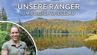 Unsere Ranger im Bereich Spiegelau  50 Jahre Nationalparkwacht [upl. by Alegna700]