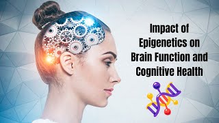 The Impact of Epigenetics on Brain Function and Cognitive Health [upl. by Berke]