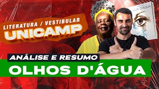 Vestibular UNICAMP  Análise e resumo de Olhos dágua de Conceição Evaristo [upl. by Najram]