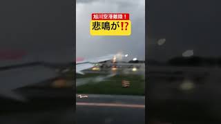 旭川空港離陸‼️離陸直後に悲鳴が⁉️jal b767 旭川空港 悲鳴 [upl. by Jeanine]