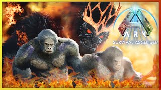 Taming a Fire Demonic Gorilla  ARK Amissa Descended Chaos Ep 29 [upl. by Herr587]