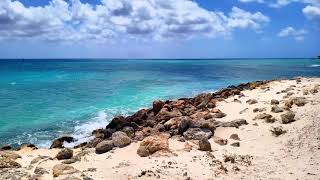 Feel Aruba at Bushiri Beach amp Druif Beach [upl. by Zennie]