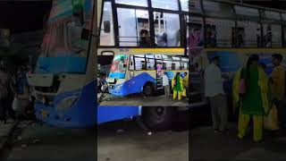 Neyveli TS to Palani Bus  TNSTC Madurai  நெய்வேலி TS to பழனி shorts bus [upl. by Aicilef]