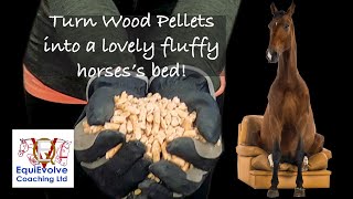 How To Use Wood Pellets As Bedding For A Horse [upl. by Athelstan786]