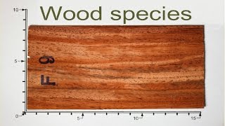 Different wood species  Over 90 woodspecies [upl. by Hollerman477]