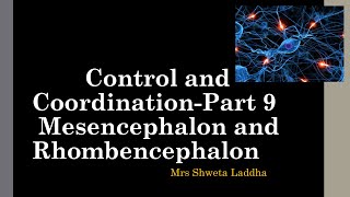 Mesencephalon and Rhombencephalon Part 9 [upl. by Atinel692]