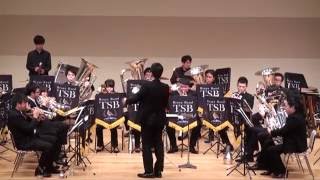 quotBrassed Off Fantasyquot  Brass Band TSB [upl. by Allac614]