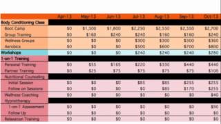 Business Financial Plan  Expense Planning  Revenue Planning  Cash Flow [upl. by Damita]