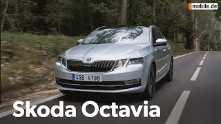 KurzCheck mobilede  Skoda Octavia [upl. by Yenterb]