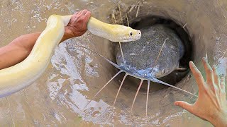 INACREDITÁVEL essa TÉCNICA de PESCA  Usando uma cobra para pegar peixes no buraco [upl. by Sidalg]