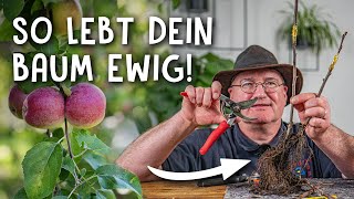 Obstbaum einfach veredeln 🌳  zwei Methoden für die heimische Baumschule [upl. by Dixon]