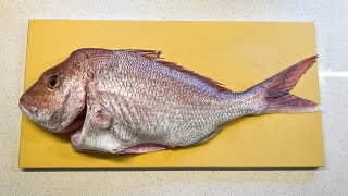 Catch and Fillet 60cm Snapper [upl. by Stockwell274]