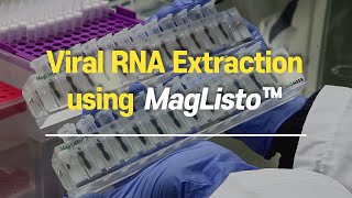 Viral RNA Extraction for testing COVID19 using MagListo™ [upl. by Akcirret]