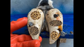 CARVING OUT a DEEP HOLE in this cows hoof [upl. by Pulcheria]