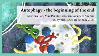 Autophagy  the beginning of the end Reconstitution of autophagosome nucleation  study summary [upl. by Vasiliu]