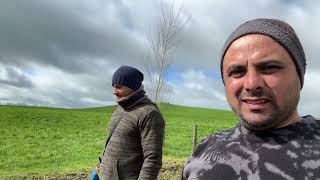 Newzealand dairy farming life vlog no 63 🐄 [upl. by Eidnil]