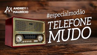 Especial Modão  Telefone Mudo [upl. by Asina997]