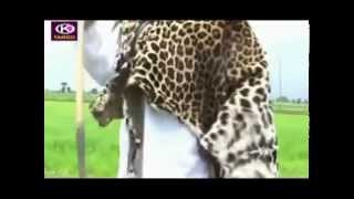 Fayyisaa Furii Geerarsa Oromo Music [upl. by Galen]