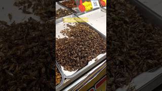 Thailand Insect Food🤣 [upl. by Eel]