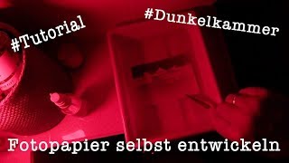 Tutorial Fotopapier selbst entwickeln  einfach erklärt Dunkelkammer [upl. by Akinat]