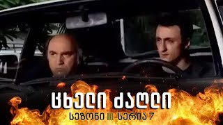 ცხელი ძაღლი  სეზონი 3 სერია 7 [upl. by Aerdnaed]