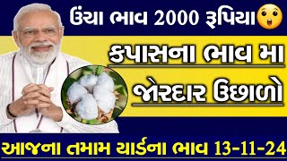 Kapas na bhav  13112024  આજના કપાસના ભાવ આજના  Information about cotton crop price  Gujarat [upl. by Adella]