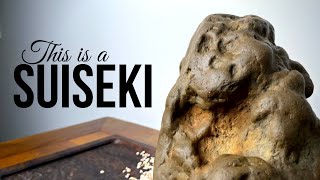 Turning an Ordinary Rock into Art DIY Suiseki [upl. by Arie]