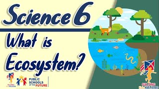 SCIENCE 6 ECOSYSTEM  Grade 6 [upl. by Champagne361]