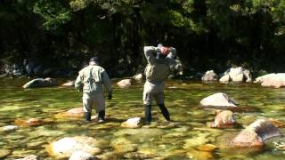 Fly fishing NZ  Overnight with the Anteaters [upl. by Llehcar]