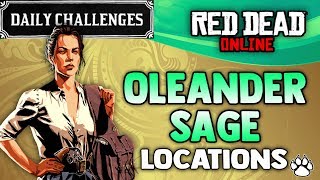 Red Dead Online  Oleander Sage Location  RDR2 Daily Challenge Oleander Sage Picked [upl. by Ariamoy614]