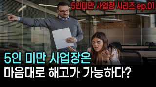 5인 미만 사업장은 해고를 마음대로 할 수 있다 5인미만 사업장 ep01 [upl. by Llesig638]