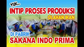 Proses Produksi Sakana Foods [upl. by Aidahs]