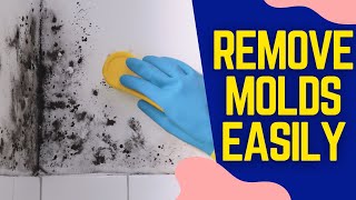 How To Kill Toxic Mold Fast With Natural Methods [upl. by Cord296]