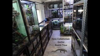 New Caledonian Geckos Room Tour 130521  Reptile Room Tour [upl. by Oiznun336]