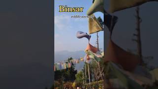 Binsar wildlife sanctuary Mountain Uttarakhand travel shorts ytshorts [upl. by Embry]