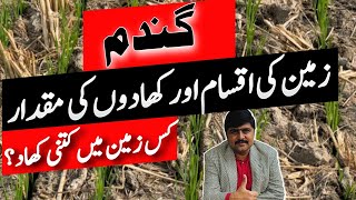 How to decide for wheat fertilizer Soil type and fertility [upl. by Aynwad]