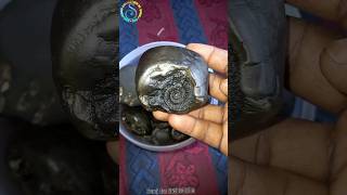 Shaligram sri matsya shaligram shila  gandaki river shaligram 💐💐 shorts short shortsfeed [upl. by Gorrian]