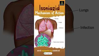 Isoniazid Mechanism of Action  AntiTB Drugs testpaperlive isoniazid tb drugs shortvideo [upl. by Shultz]