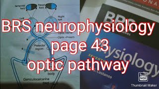 optic pathway BRS NEUROPHYSIOLOGY page 42 fcps part 1 [upl. by Petras]