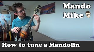 How to tune the mandolin  Mandolin Lesson for Absolute Beginners [upl. by Esir]