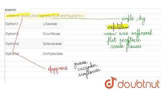 Inferior ovary and cypsela fruit are found in [upl. by Strait]