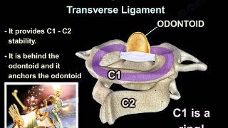 Cervical Spine Trauma  Everything You Need To Know  Dr Nabil Ebraheim [upl. by Elizabet]