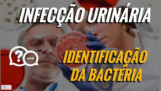 CASO CLINICO  IDENTIFICAÃ‡ÃƒO DE BACTÃ‰RIAS NA INFECÃ‡ÃƒO URINÃRIA [upl. by Leon]