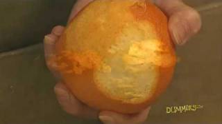 How to Zest Citrus Fruit For Dummies [upl. by Paulie994]