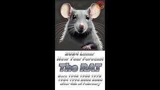 2024 CNY Zodiac Forecast  RAT [upl. by Ciredec700]