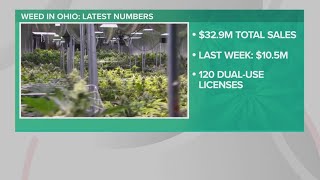 Ohio recreational marijuana sales bring in 105 million in third week [upl. by Ggerg]