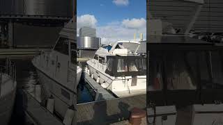 Stavanger harbour Norway shorts shortsfeed moresubscribers2024 [upl. by Flavian]